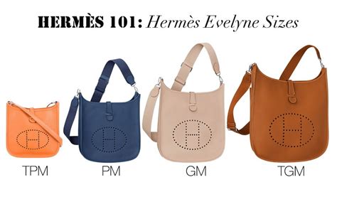 hermes brown shoulder bag|evelyne bag hermes sizes.